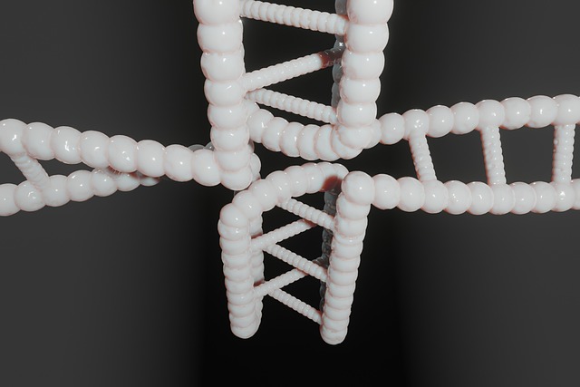 domowa biblioteczka i kanapa w spokojnym wnętrzu