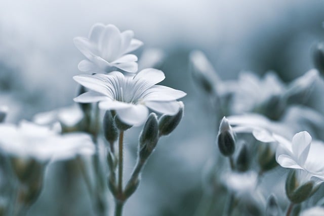 spokojny poranek na kanapie miękkie światło i koc